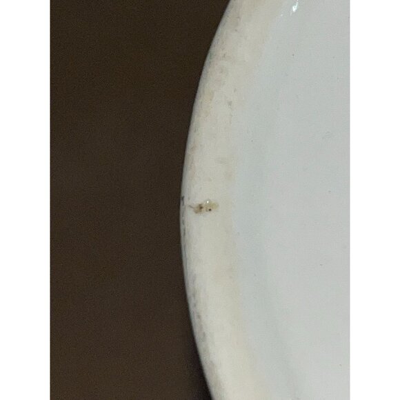 Starbucks Chicago Skyline Series 2002 Mug 16oz The Windy City Used - Picture 10 of 10